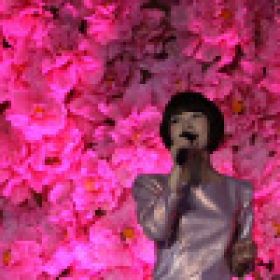金海心出席朱、戴聯(lián)婚活動